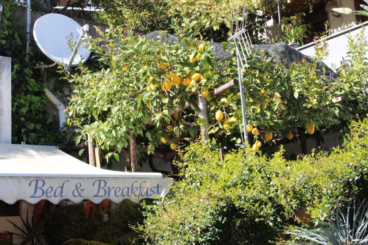 Bed & Breakfast Casa Anna Rita Vietri Kültér fotó